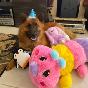 Meet your Posher, Christian